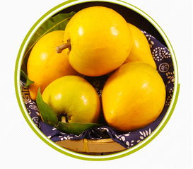 鸡蛋果蛋黄果6斤海南热带水果新鲜当季云南特产现摘批发