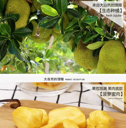 发18 22斤海南三亚菠萝蜜批发热带应季新鲜水果特产