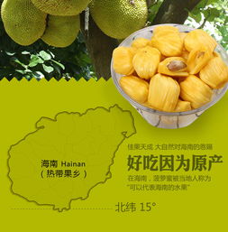 发18 22斤海南三亚菠萝蜜批发热带应季新鲜水果特产