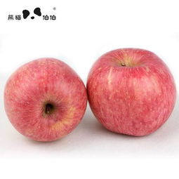 熊猫伯伯 洛川小苹果 新鲜水果陕西精品红富士6个装图片大全 邮乐官方网站