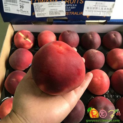 脆桃5斤新鲜水果批发当季整箱非黄桃水蜜桃油桃子10孕妇低价热带