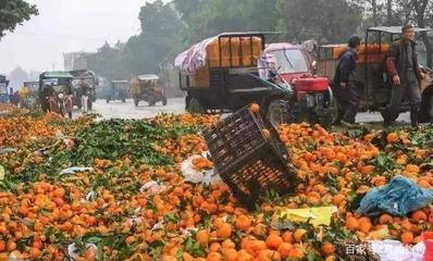 东南亚水果大量进入中国,该国却烂在地里,网友:取消免签惹的祸